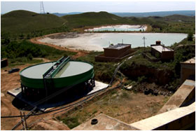 ludong 